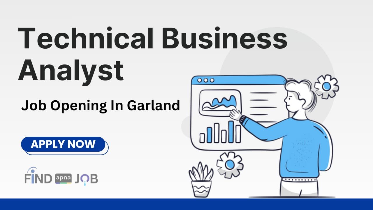 Technical Business Analyst
