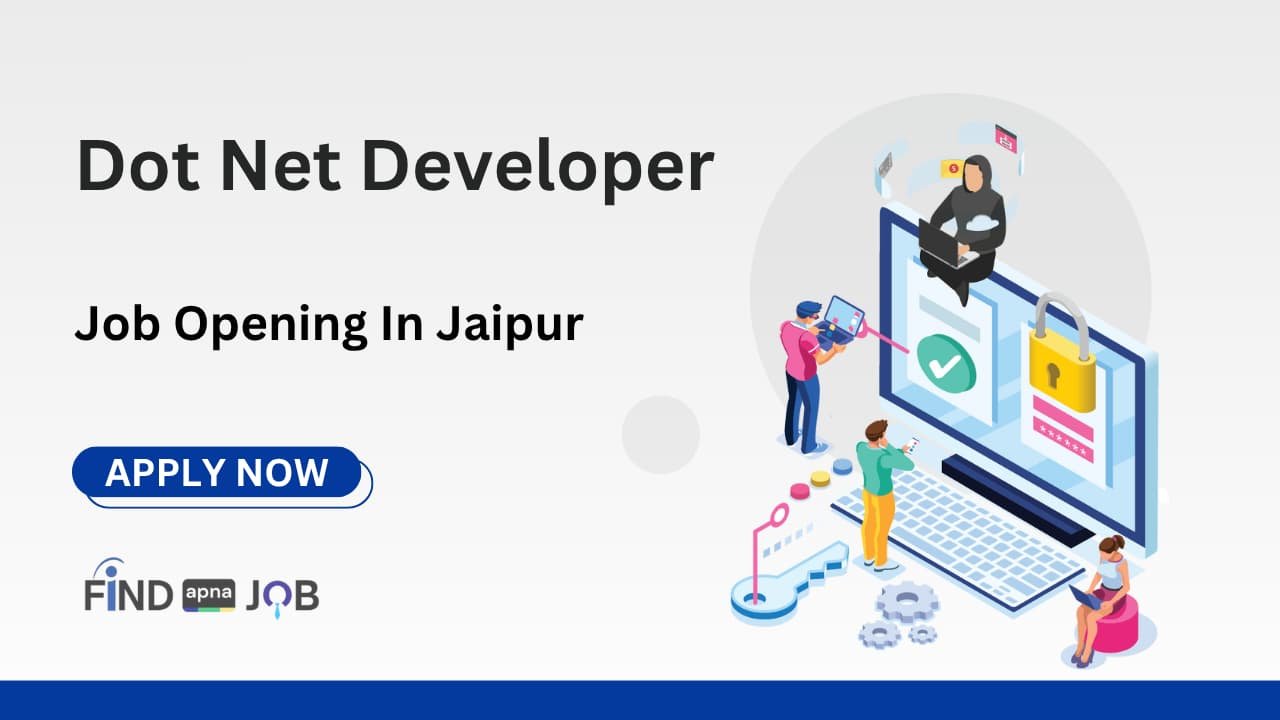 Dot Net Developer