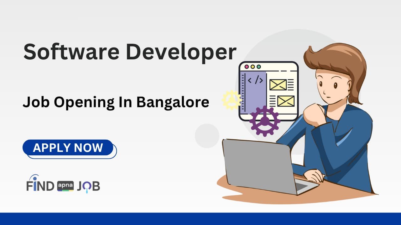 Software Developer
