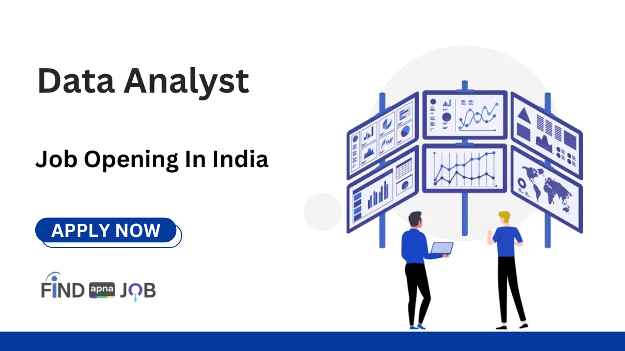 Data Analyst