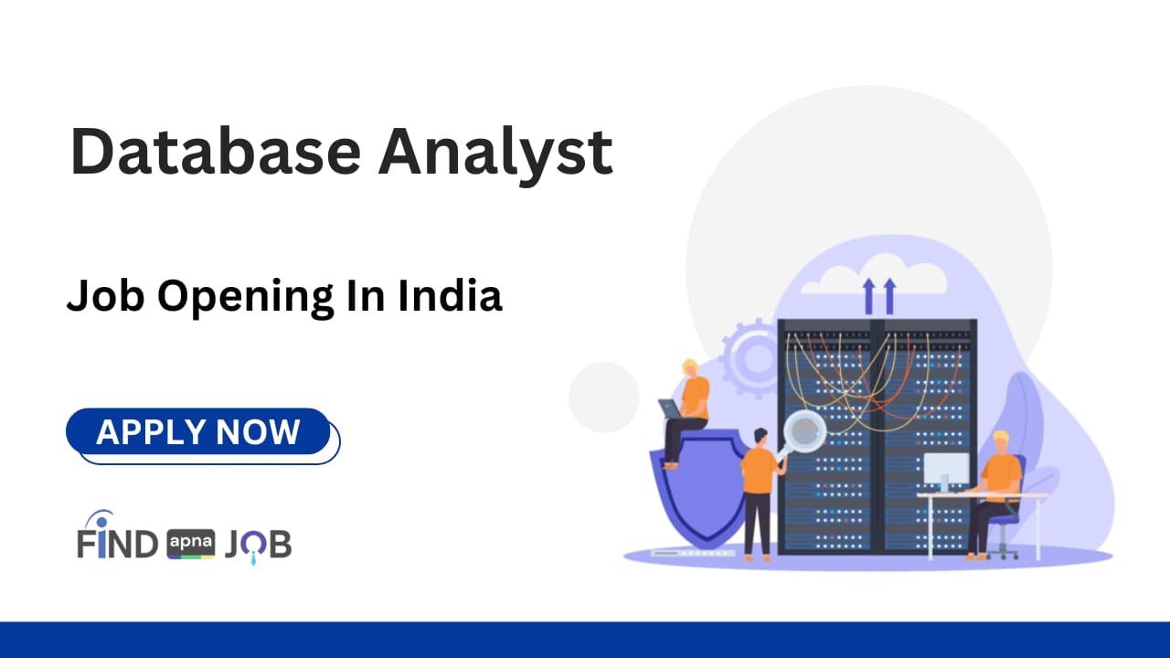 Database Analyst