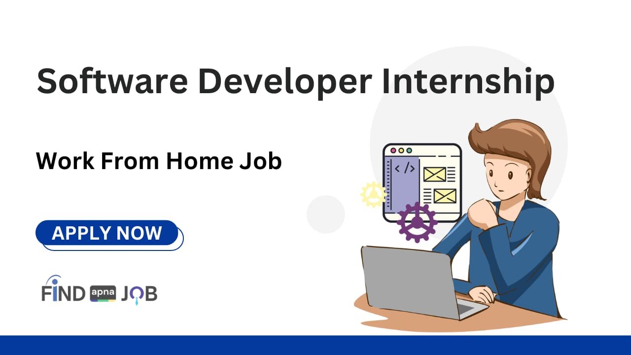 Software Developer Internship